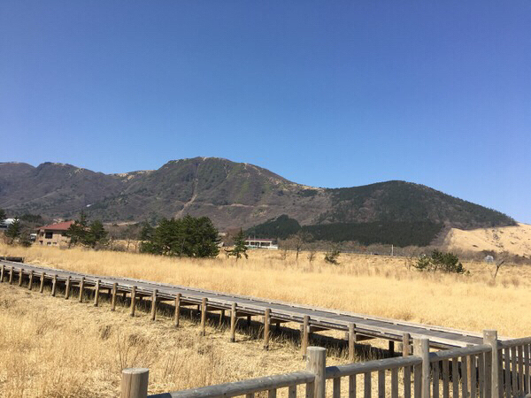 �^�f������