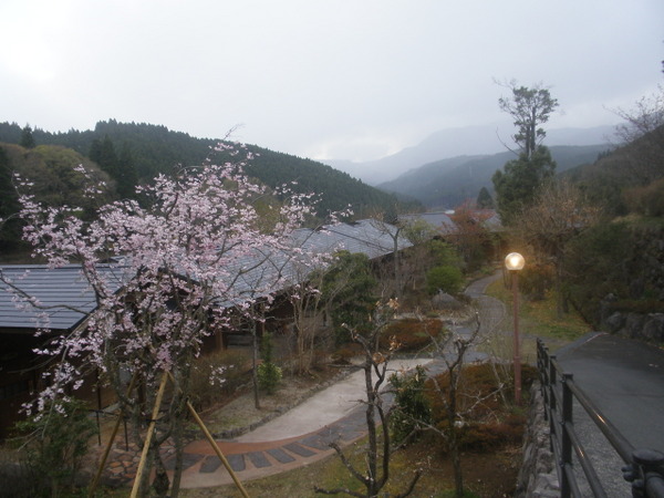 ���R����@�l�G�ʂ̓�