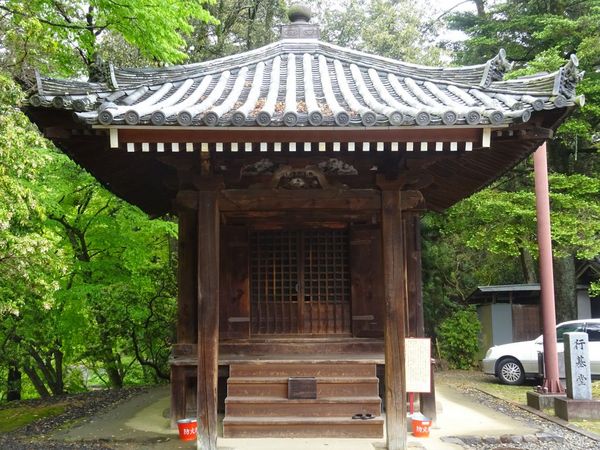 ���厛�s�