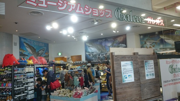 �A�N�A���[���h ��錧��������� �~���[�W�A���V���b�v�K���I�X