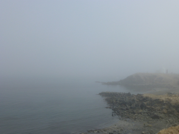 �[���z��