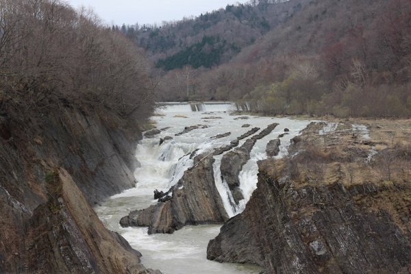 ��̏�����i�|���\�E�J���C�R�^���璹�P��j