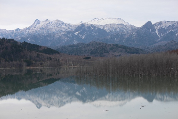 �V���[�p����