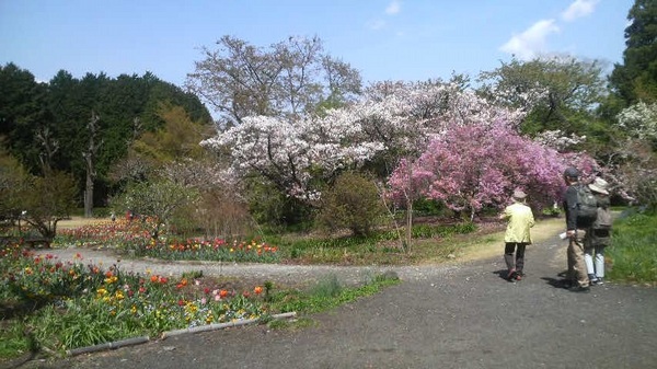 秩父宮記念公園の写真一覧 じゃらんnet