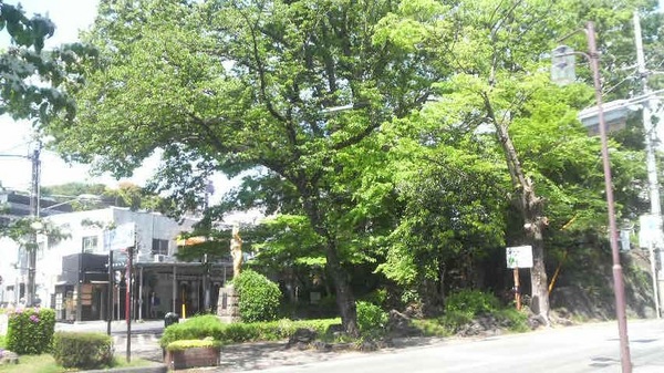 �����@�Ղ̗n���