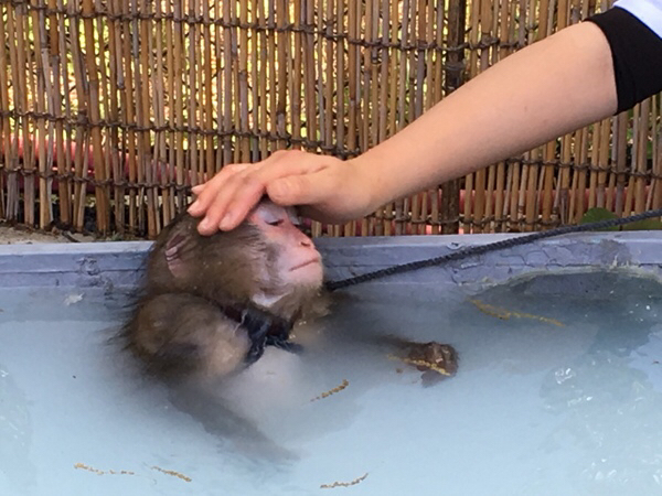 �����郉���h���A�j�^�E��