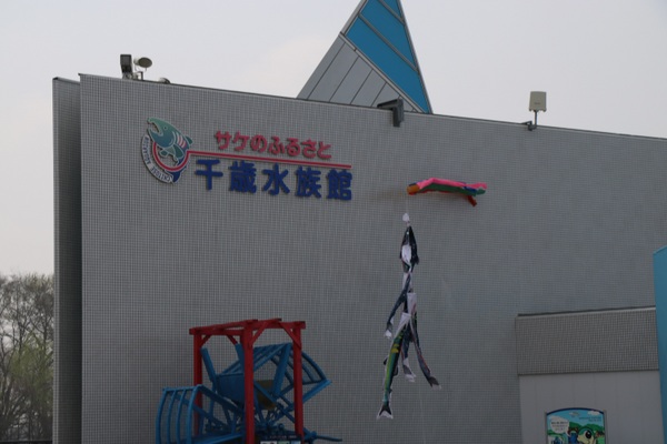 �T�P�̂ӂ邳�Ɛ�ΐ�����