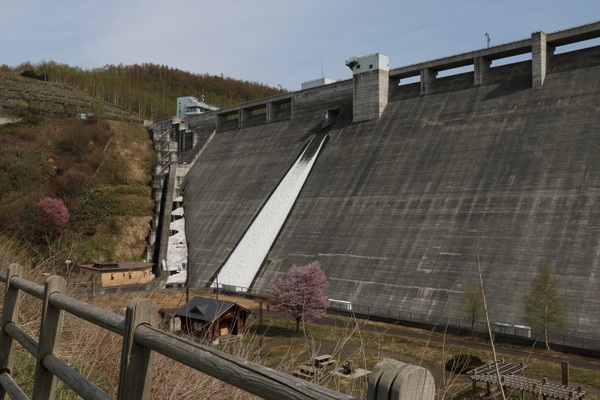 �����_��