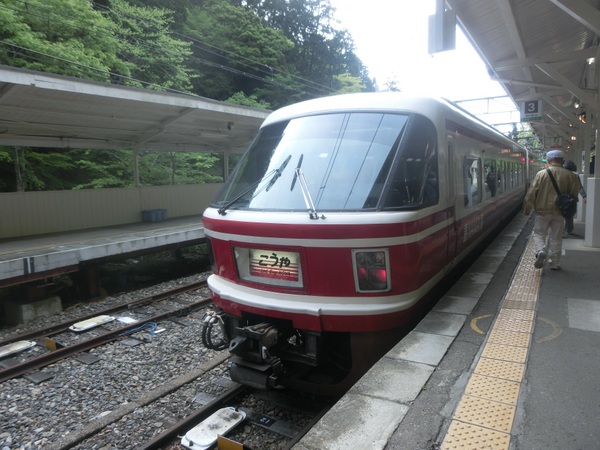 ��C�d�S����R�w