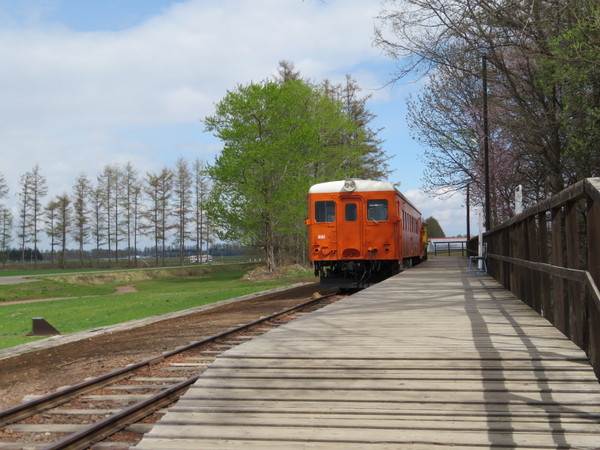 �K���w�i�K���S�������j