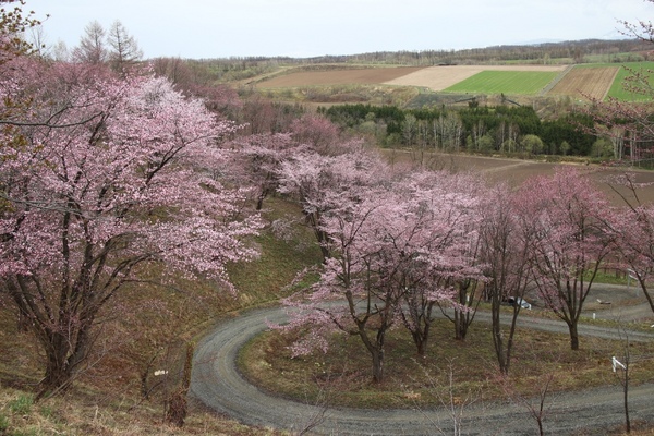 �[�R���W�]��