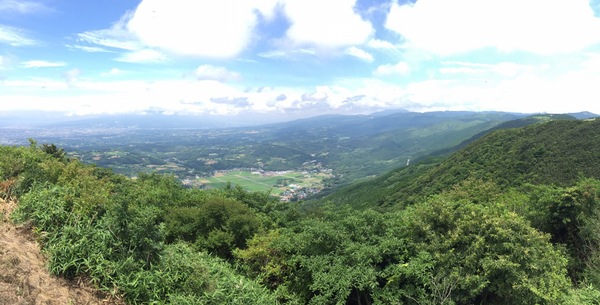 �A�l�X�g��c�@�^�[���p�C�N����