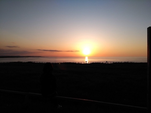 �\�斦�C��