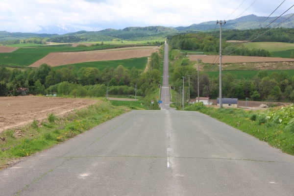 �W�F�b�g�R�[�X�^�[�̘H