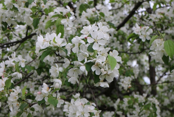 �㈰�ʌ���