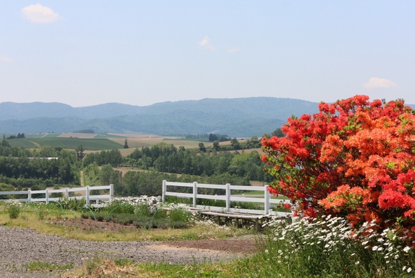 �V�h�̋u�W�]����