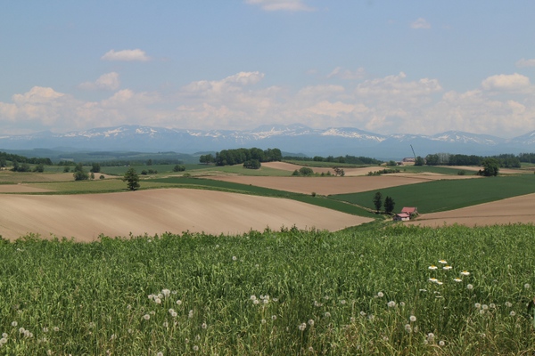 �V�h�̋u�W�]����