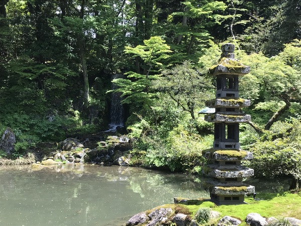 �Z�r�i���Z���j