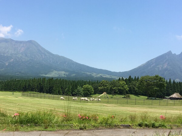 ����艷��