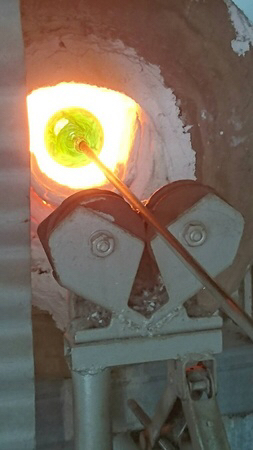 �����K���X���H�[�i���[�X�j