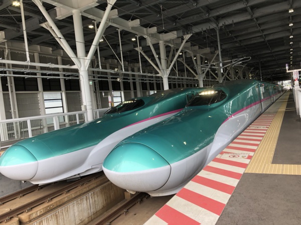 �V���ٖk�l�w�O�r��