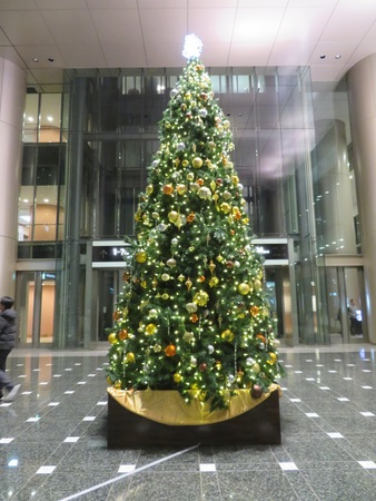 �������g����k�� �Z�{�؈꒚�ډw