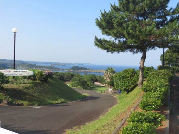 ���o��̑�