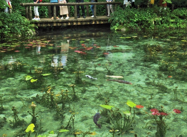 ���l�̒r�@�򕌌�