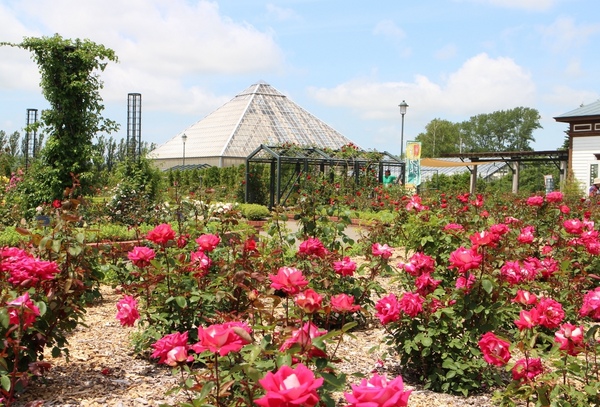 ����݂�������o����