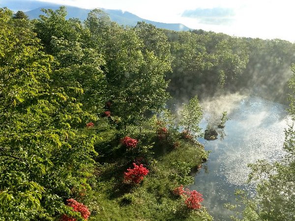 ���ّ���v�����X�z�e��