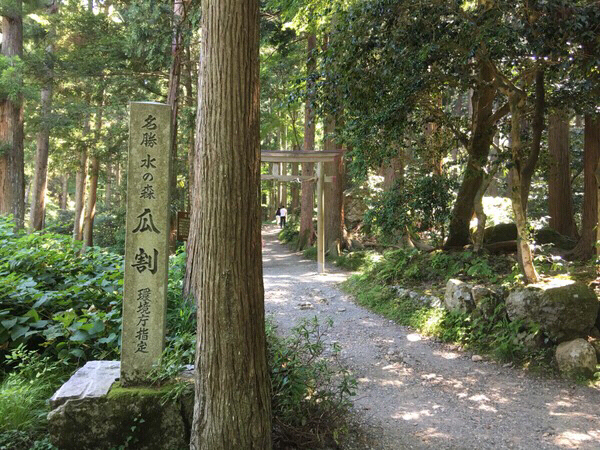 �ዷ�Z����������