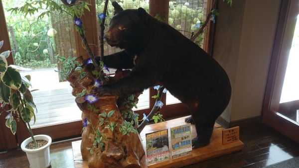 �H�ہE���Z���^�[