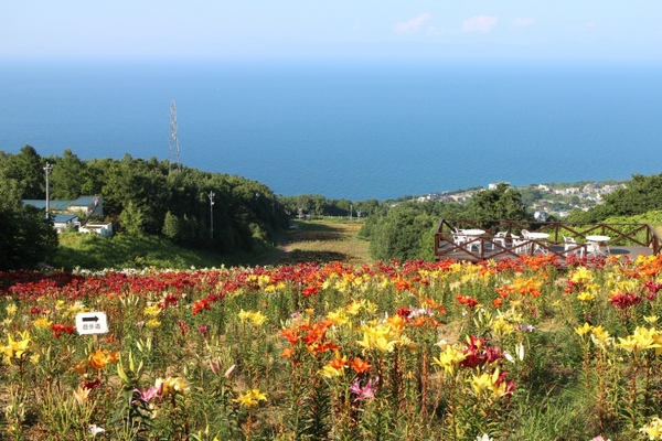 �X�m�[�N���[�Y�I�[���Y