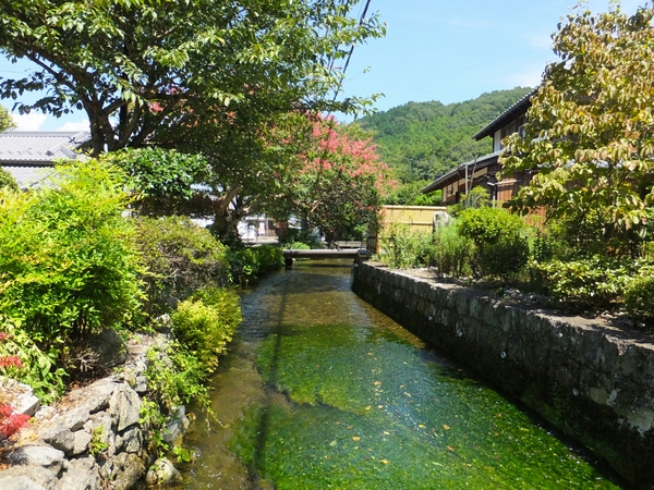 ����E�n����̔~�ԑ�