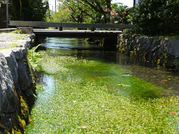 ����E�n����̔~�ԑ�