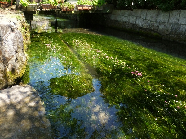 ����E�n����̔~�ԑ�