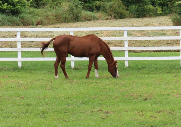 �D�x�������A���p�[�N