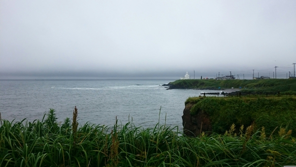 �[���z��