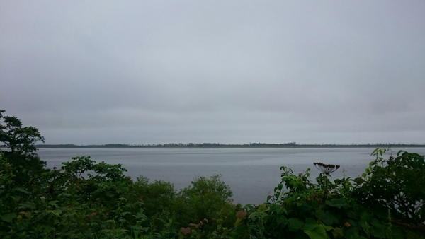 ���̉w �X�����S�S�˂ނ�