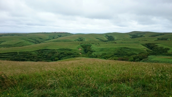 �@�J�u�ˎ��X�͒n�`