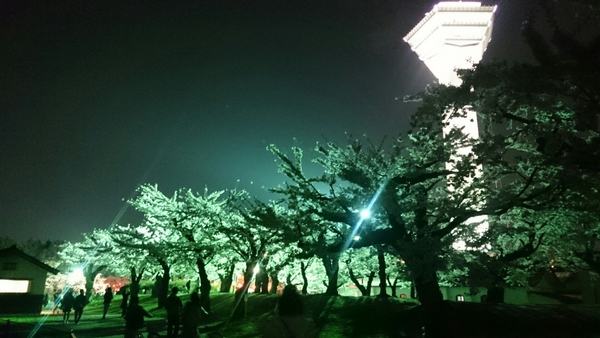 �ܗŊs����