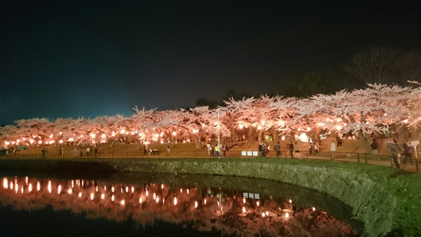 �ܗŊs����