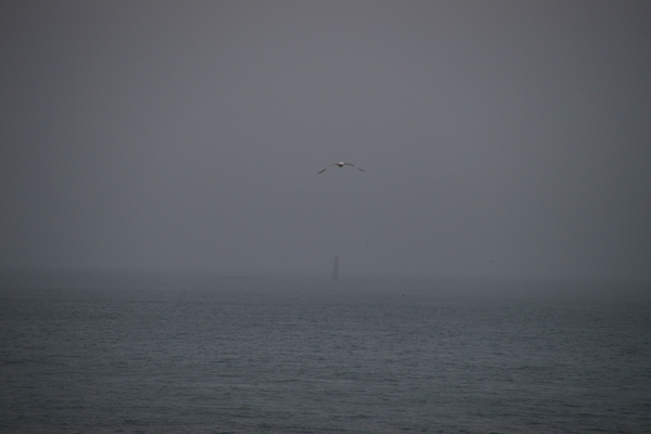 �[���z��