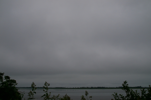 ���̉w �X�����S�S�˂ނ�