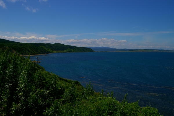 �\�斦�C��