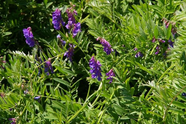 �\�斦�C��