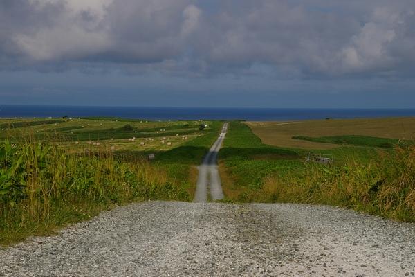 �@�J�u�ˎ��X�͒n�`