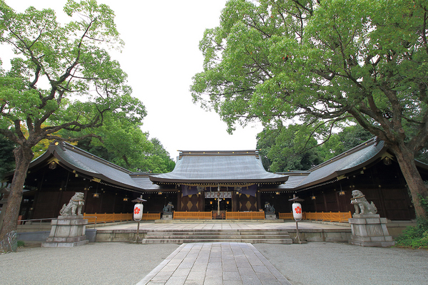 ����{ �P�H�썑�_��