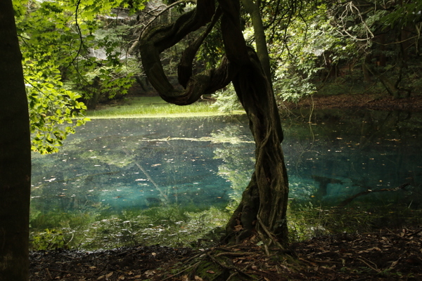 牛渡川の写真一覧 じゃらんnet