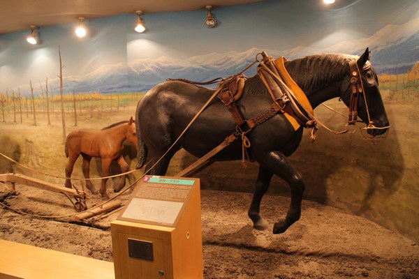 �n�̎�����